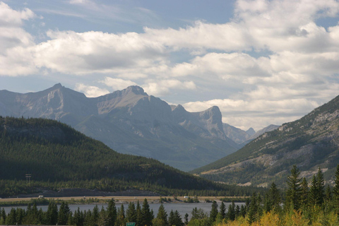 Canmore: Evening Wildlife Viewing Tour