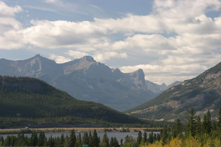 Canmore: Evening Wildlife Viewing Tour