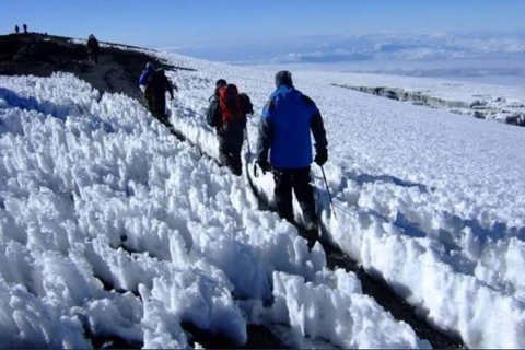 Kilimanjaro trektocht 7 dagen Lemosho Route