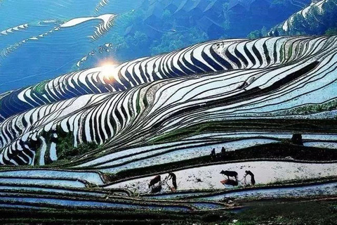 Longji Terraced Fields: Hiking Tour from Ping&#039;an to Dazhai1-Day Longji Terraced Fields Hiking Tour