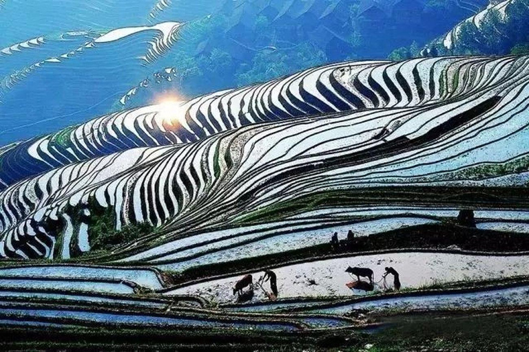 Longji Terraced Fields: Hiking Tour from Ping&#039;an to Dazhai1-Day Longji Terraced Fields Hiking Tour