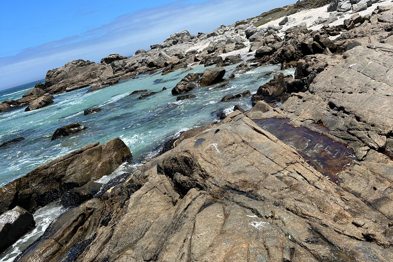 Cidade do Cabo: Excursão guiada de 1 dia pelo Cabo da Boa Esperança e Pinguins