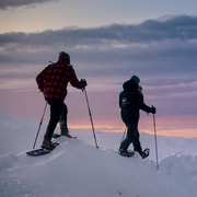 Levi ↔ Rovaniemi Snowshoeing Transfer Experience