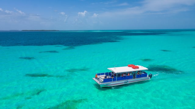 From Miami: Key West with Dolphin Watch or Snorkel Boat