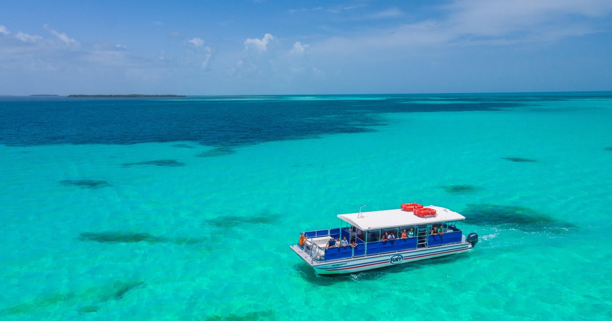 Fra Miami: Key West med delfinsafari eller snorkelbåd | GetYourGuide