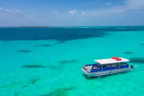From Miami: Key West with Dolphin Watch or Snorkel Boat