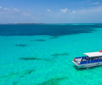 From Miami: Key West with Dolphin Watch or Snorkel Boat