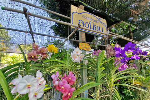 Bangkok Canals Hop-On Hop-Off Boat Tour
