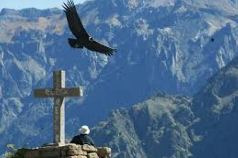 Colca Canyon Tour 2 Tage