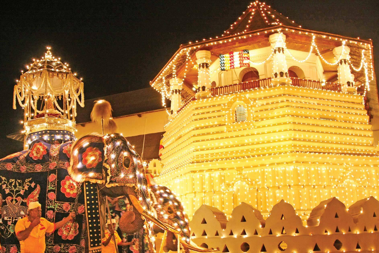 Kandy Esala Perahara Premium & VIP Viewing Tickets