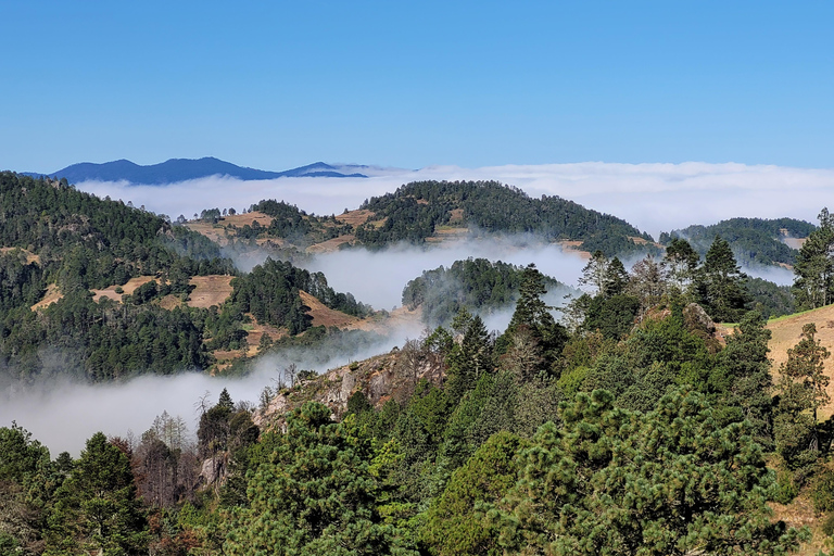 Oaxaca: Sierra Norte Hike & Indigenous Village