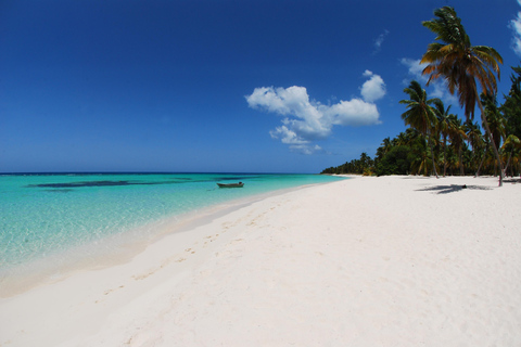 Isla Saona Snorkeling &amp; Wildlife Safari: Tudo incluído!