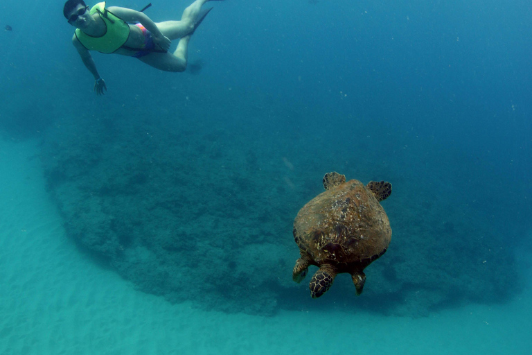 Oahu: Snorkeling & Dolphin Watch Cruise with Hawaiian Buffet Private: All-Inclusive Sunset Snorkel Cruise with Hot Buffet