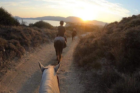 Zakynthos: Horse Riding Swimming Experience