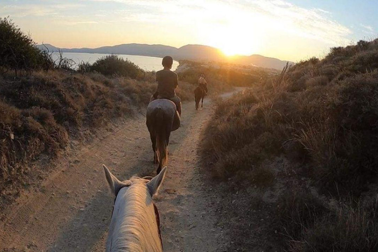 Zakynthos: Horse Riding Swimming Experience