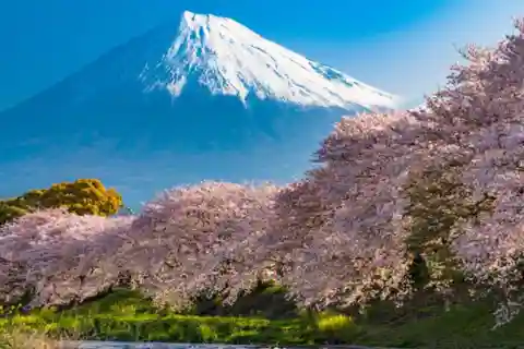 From Tokyo:Mount Fuji, Oshino Hakkai and Onsen Full-day Trip