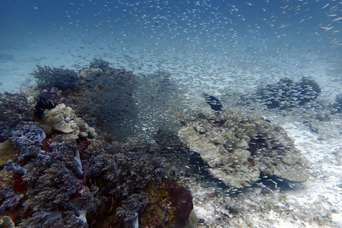 Phuket: Scuba Diving Try Dive with Hotel Pickup