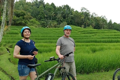 Jatiluwih: Trekking, Cycling and Cooking class in JatiluwihTrekking In Jatiluwih All includes