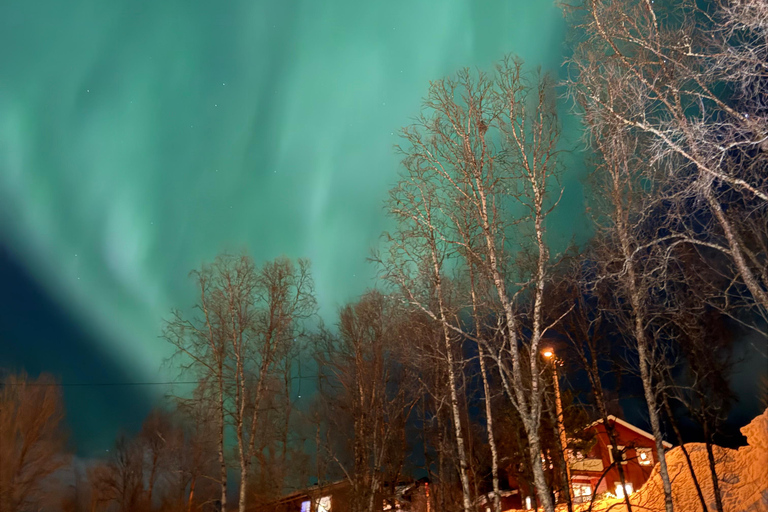 Tromsø: Snowshoe Tour in Coastal Nature Near the City