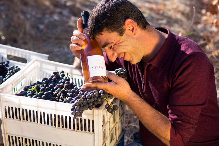 Devenez sommelier grâce à notre circuit des vinsTournée des vins