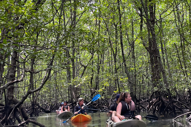 Langkawi : Aventure en kayak dans la mangrove de Kilim Karst