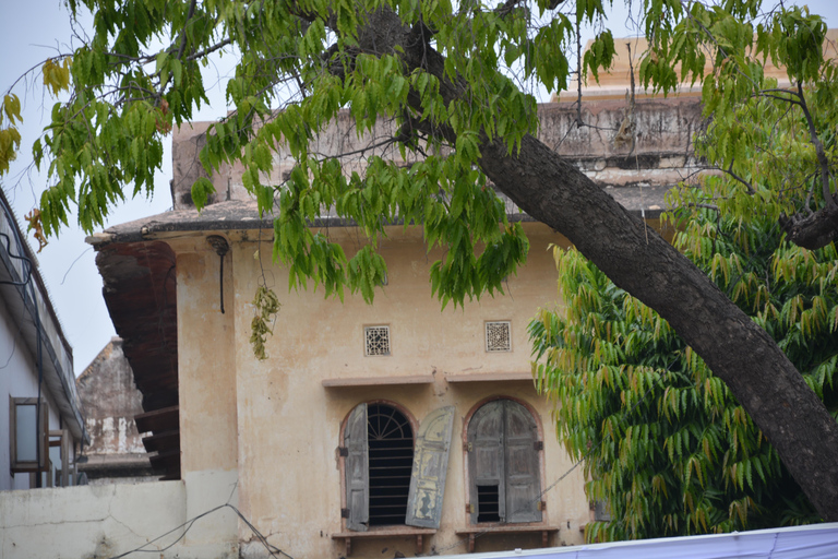 Jaipur: Amber Fort, Stadtpalast und Hawa Mahal Tagestour