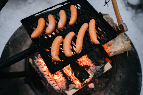 Rovaniemi: Snowshoeing in the Arctic Wilderness