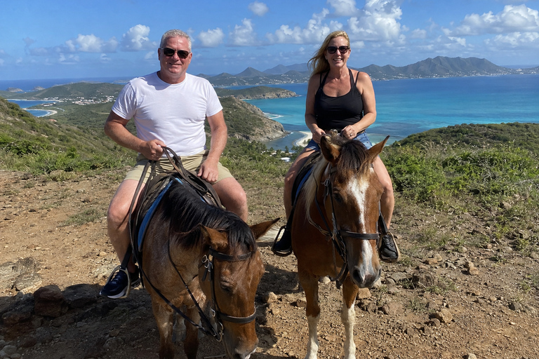 St. Maarten: Scenic Horseback Ride & Caribbean Sea Swim