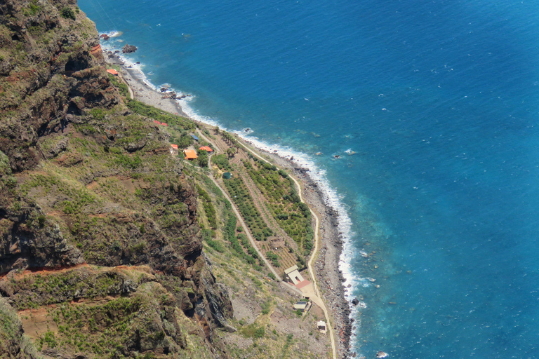 From Funchal: Sea Cliffs and Wine Tasting 4WD Tour