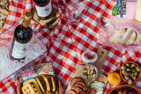 Évora o Montemor: Picnic presso la cantina Plansel