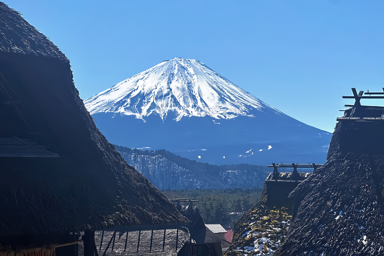 Tokyo: Mountain Fuji Private Full Day Tour with transfer Mount Fuji: Private Tour (Guided tour included) Max 5 pax