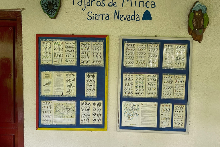 Minca: Coffee Farm and Hidden Waterfall Tour with Lunch