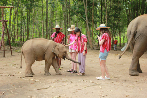 Chiang Mai: Ganztägige Kerchor Elefanten Eco Park Tour & Trek