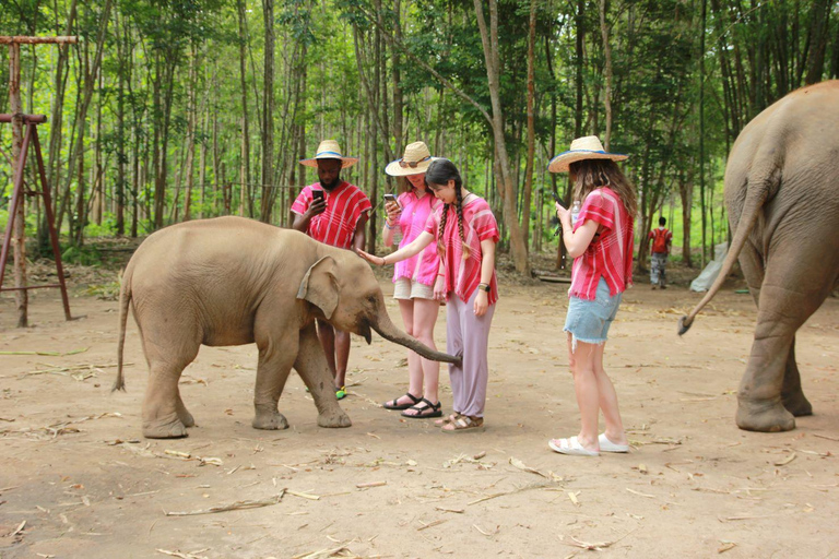 Chiang Mai : Visite d'une jounée du parc écologique des éléphants de Kerchor et trekking