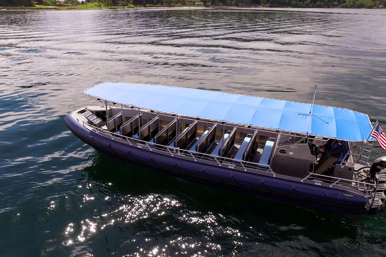 Waikoloa Deluxe Catamaran Whale Watch