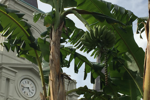 New Orleans: 45 Minutes in Jackson Square