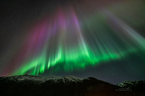 Tromsø:Northern Lights Tour with Photo and Suits.Local Guide Tromsø: Northern Lights Tour with Photos and Warm Suits