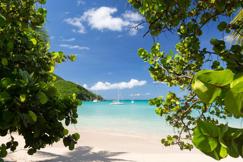 Visite privée d'une demi-journée à Saint-Martin au départ du port de Philipsburg