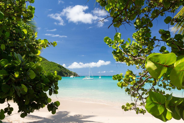 Visite privée d'une demi-journée à Saint-Martin au départ du port de Philipsburg