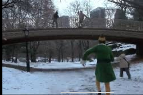 NYC: Świąteczna wycieczka z lampkami w centrum Manhattanu