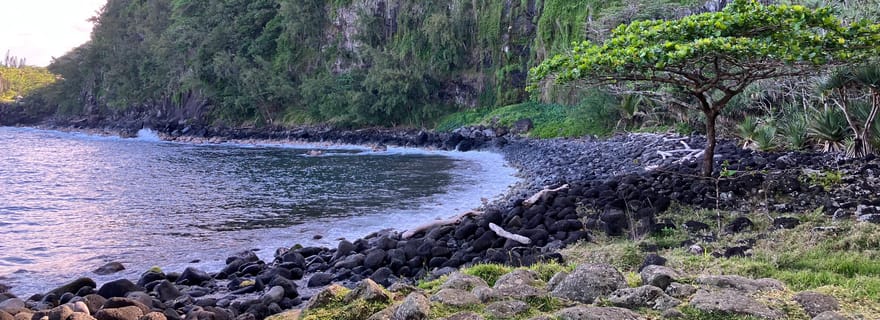 Sud Sauvage de La Réunion : cascades, nature et route des laves