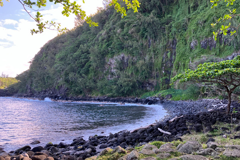 Wild South of Reunion Island: waterfalls, nature, and the lava road
