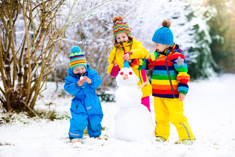 From Sydney: 1-Day Tour to Thredbo Snow Resort