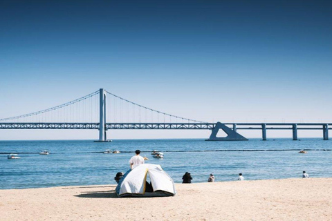 Busan : Visite à pied du marché de Jagalchi et du village de GamcheonVisite à pied privée de 4 heures