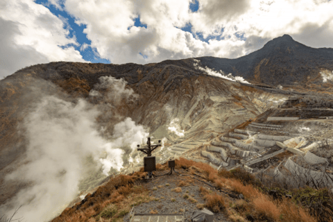 Von Tokio aus: Private Tagestour zum Berg Fuji und nach HakoneMount Fuji gemeinsame Bustour