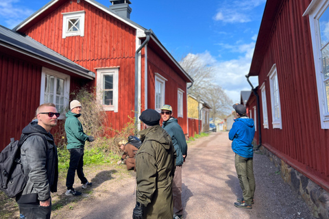 Da Helsinki: Rovine del castello di Raasepori e centro storico di Ekenäs