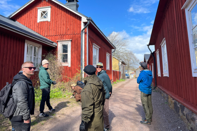Da Helsinki: Rovine del castello di Raasepori e centro storico di Ekenäs