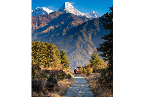 Ghorepani - Poon Hill Golden Horizon Trek from Kathmandu Customize Package