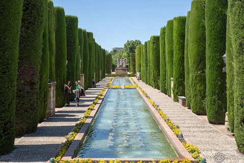 De historische schatten van Cordoba: Een wandeltour