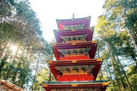 Da Tokyo: Escursione privata di un giorno a Nikko, patrimonio mondiale dell&#039;umanità